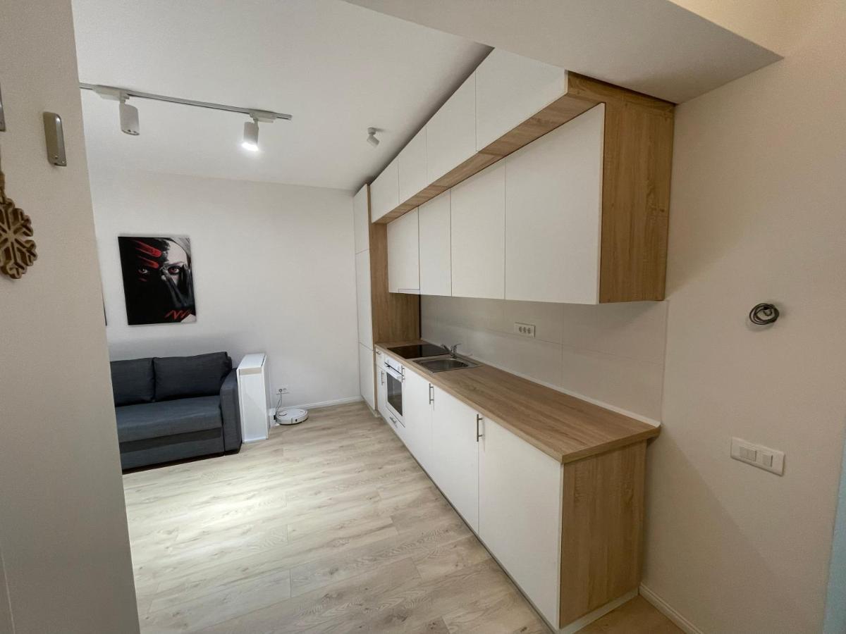 Treasure Luxury Apartment Palace ブカレスト エクステリア 写真